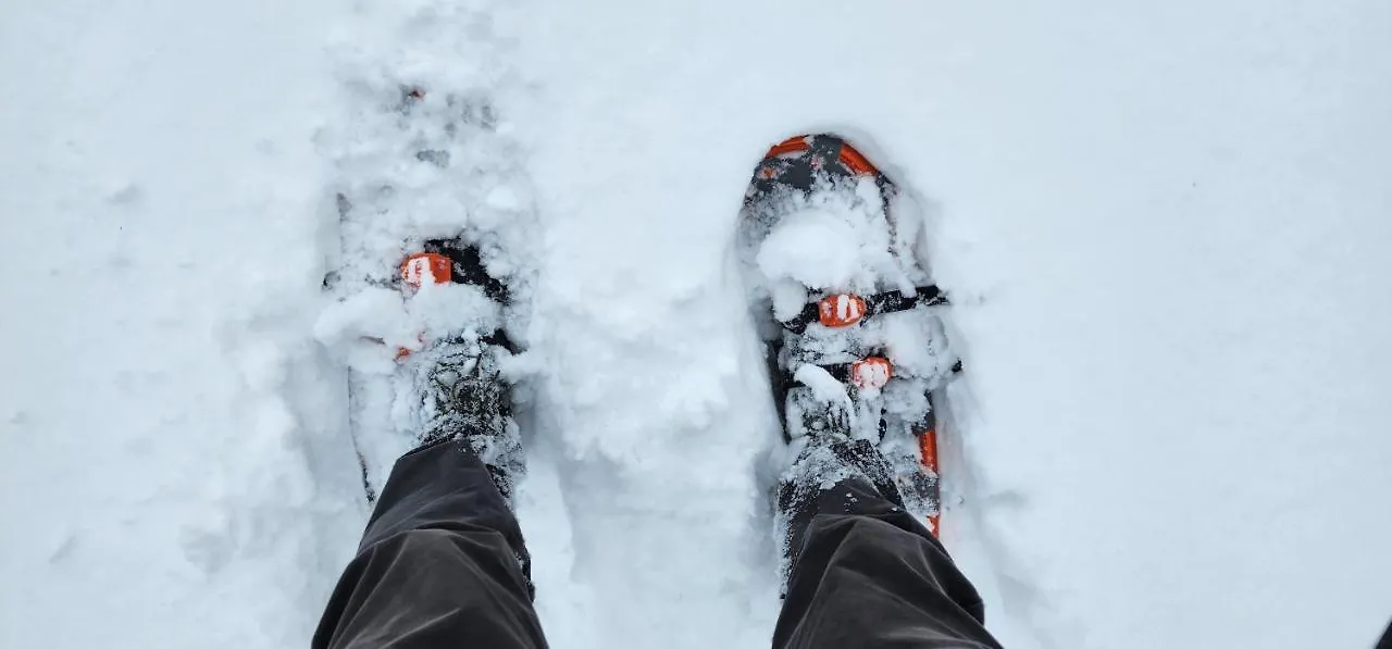 El Cosmo Lodge, Niseko
