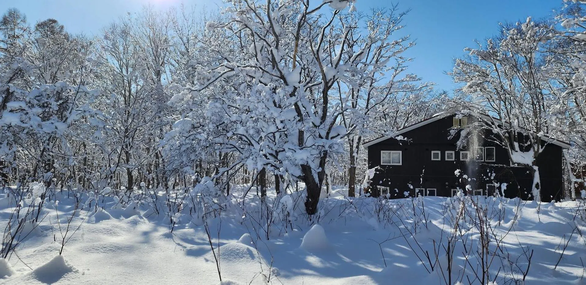 El Cosmo Lodge, Niseko 0*,