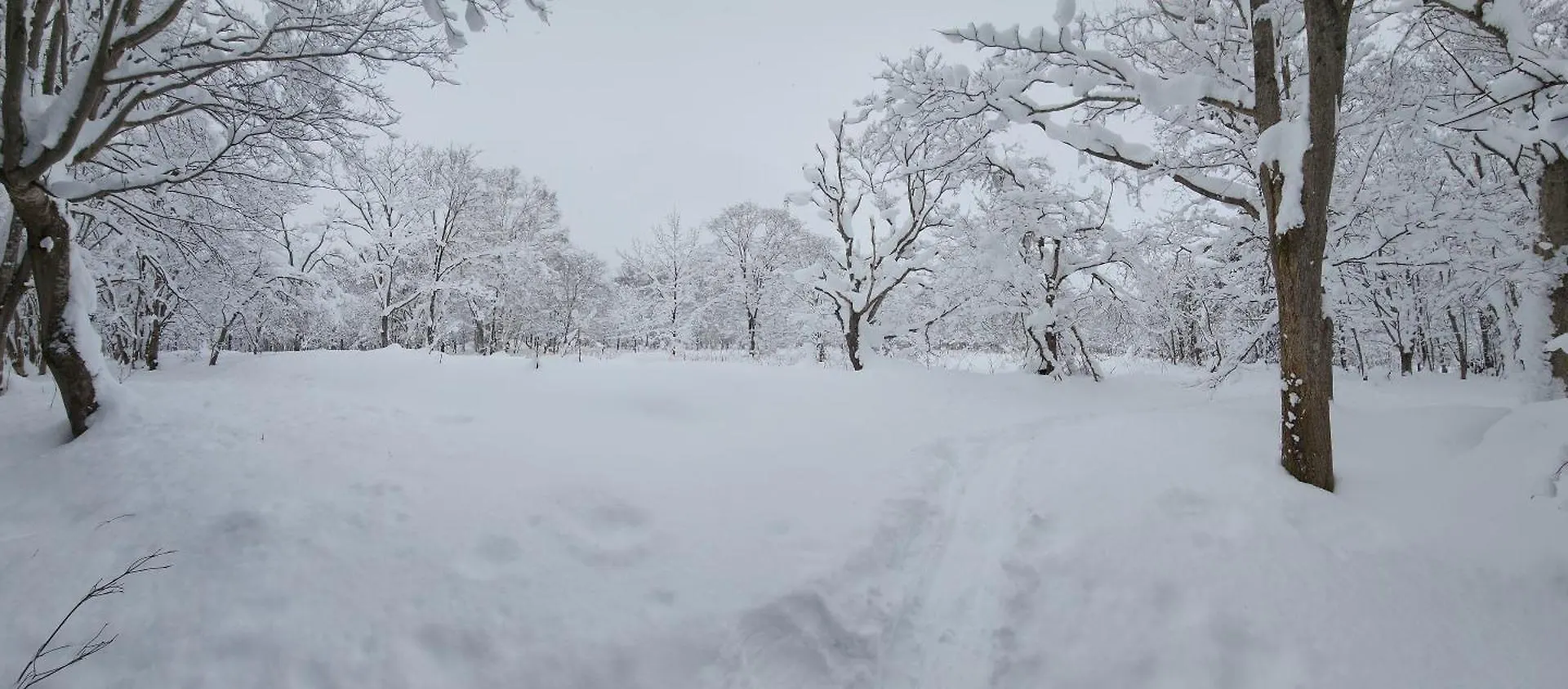 Chalet El Cosmo Lodge, Niseko